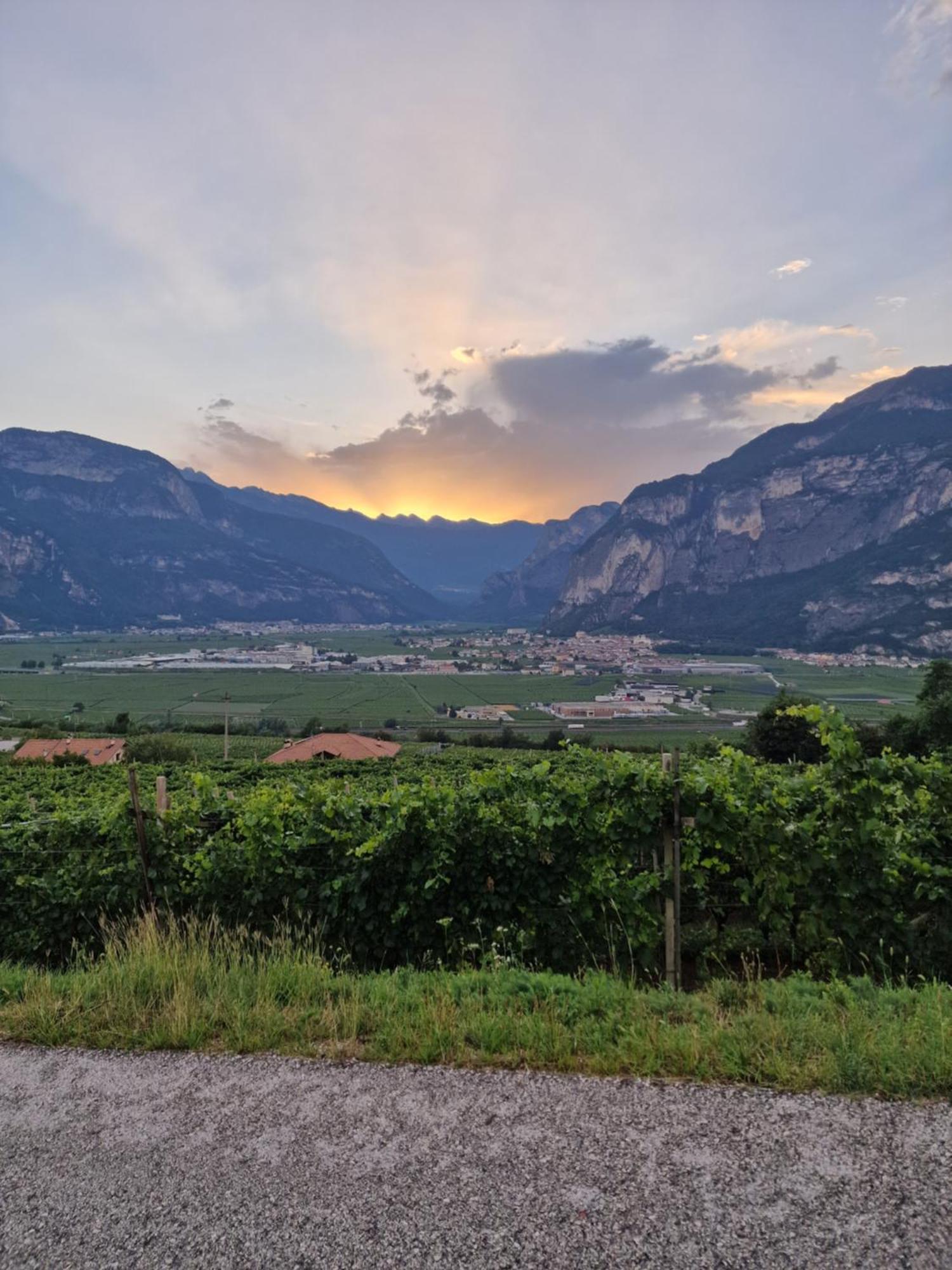 Hotel Garni La Vigna San Michele allʼAdige Esterno foto